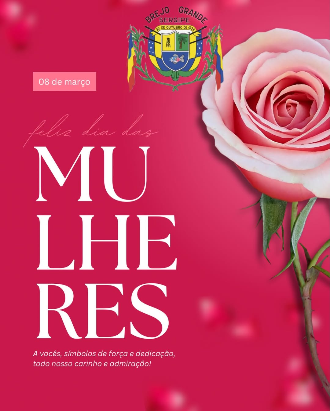 Dia Internacional da Mulher 🌹