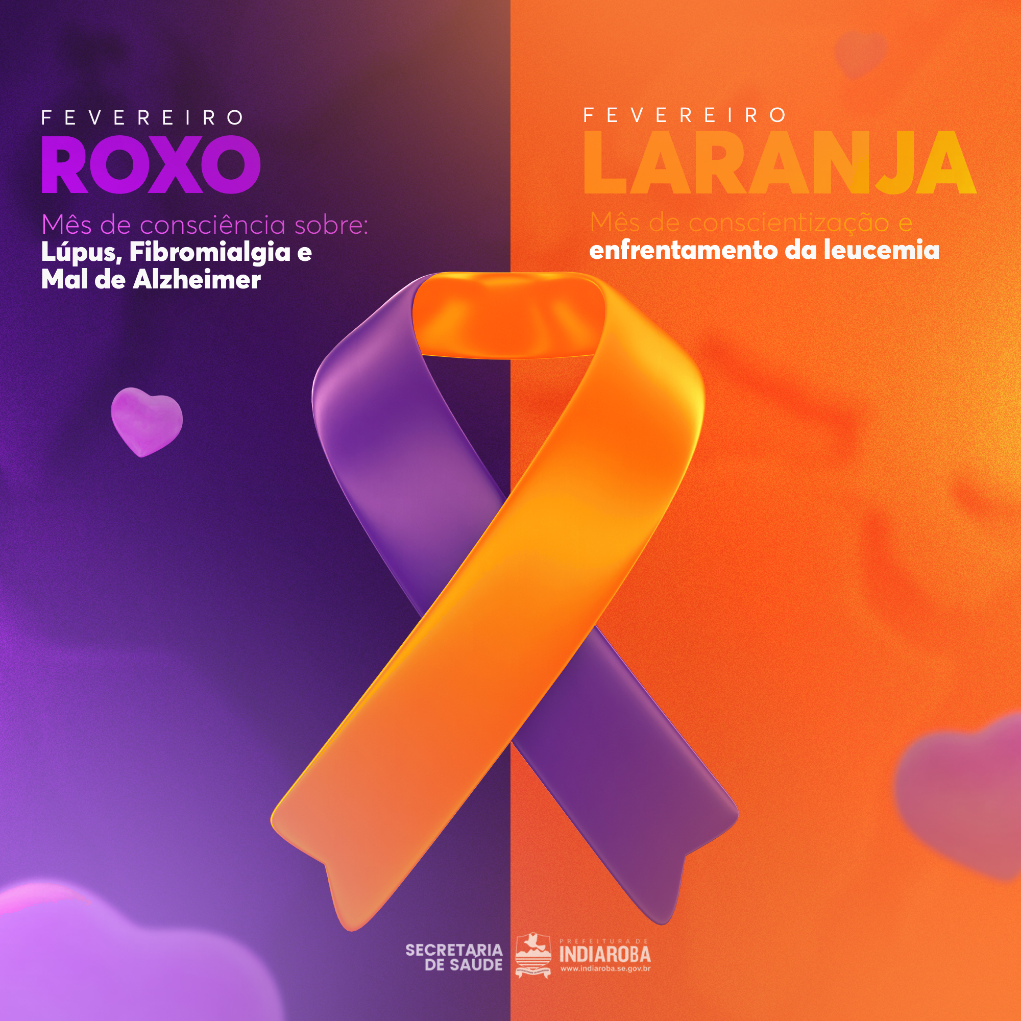 Mês da Campanha do ´´Fevereiro Roxo e Laranja´´
