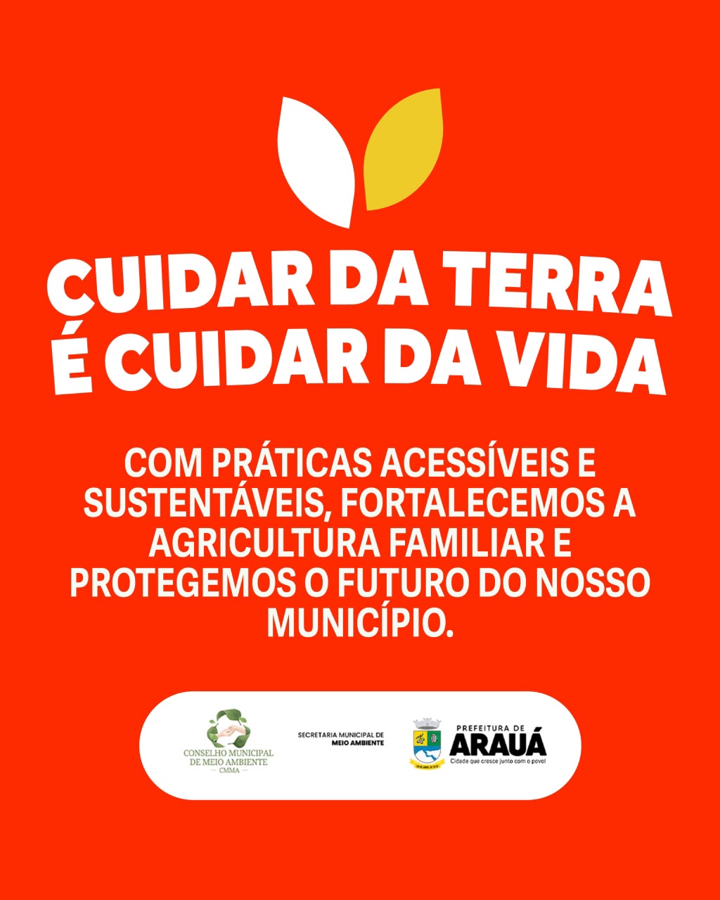 Foto 3 da notícia 🌱🍊 Campanha Lavoura Segura: mais cuidado com a lavoura, mais proteção para o meio ambiente!