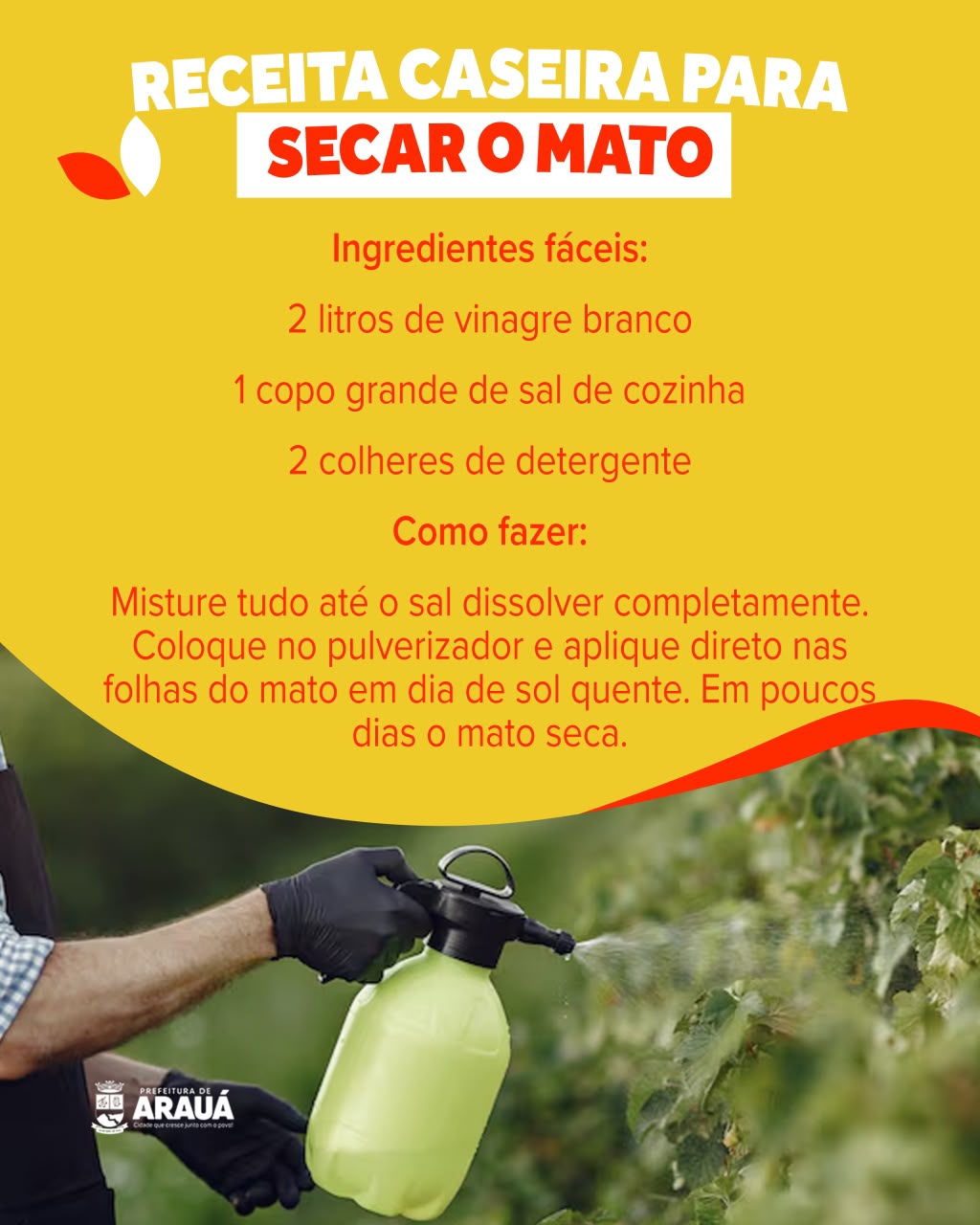 Foto 4 da notícia 🌱🍊 Campanha Lavoura Segura: mais cuidado com a lavoura, mais proteção para o meio ambiente!