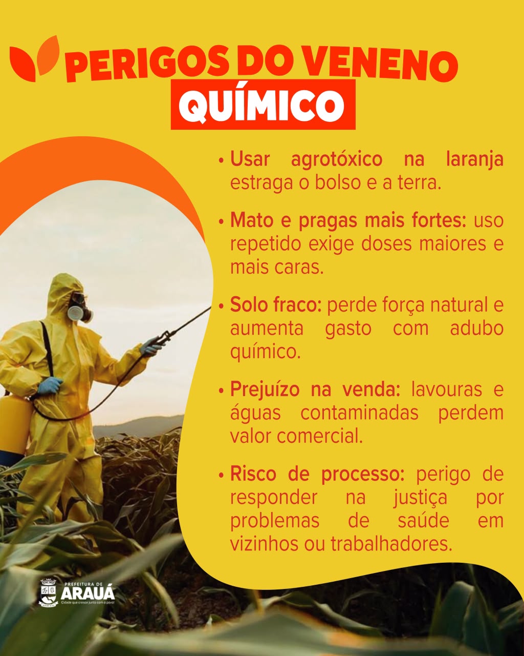 Foto 1 da notícia 🌱🍊 Campanha Lavoura Segura: mais cuidado com a lavoura, mais proteção para o meio ambiente!